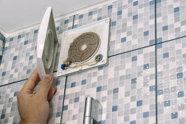Best Air Vent Cleaning Services  in Richmond, MI