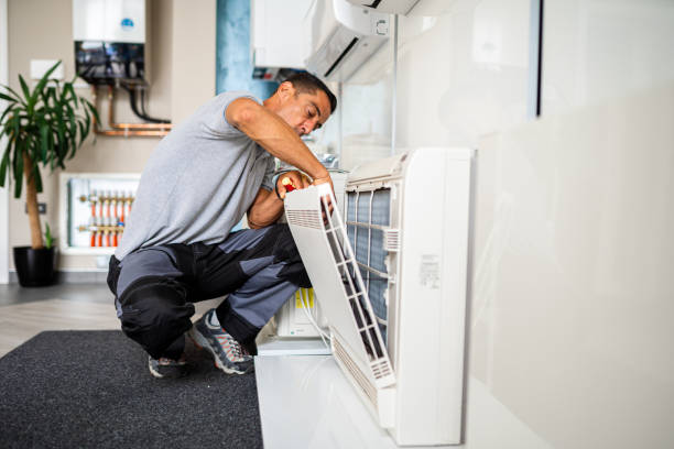 Best Home Air Vent Cleaning  in Richmond, MI