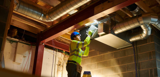 Best Air Duct Mold Removal  in Richmond, MI