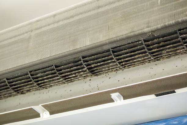 Best Ductwork Cleaning Services  in Richmond, MI